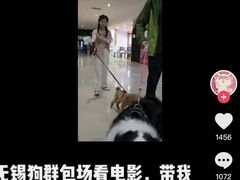-幸福蓝海国际影城(崇安寺T12店)