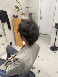 -艺鑫发型工作室YX·HAIR STUDIO