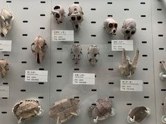 -浙江自然博物院(杭州馆)