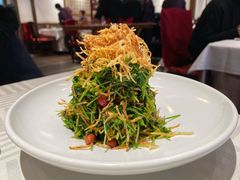 巧拌豆苗-四季民福烤鸭店(王府井灯市口店)