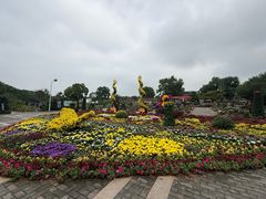 -嬉乐湾休闲旅游区