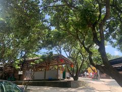 -满記土窑烧鷄波浪山莊