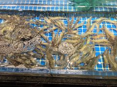 -壹只菜·崇明本地特色菜(崇明南门店)