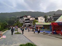 -后柳水乡