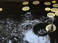 -西安国际创新人才交流中心•药浴温泉