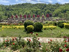 -金龙寺国家森林公园