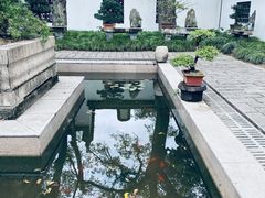 -上海醉白池公园