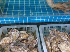 -富临港·蒸汽海鲜·手抓海鲜·炒菜(栈桥店)