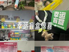 -老袁家蜜桃农场·阳山水蜜桃