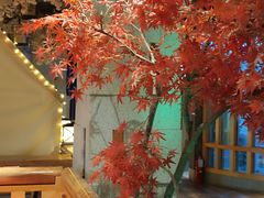 -御池园(顾村公园店)