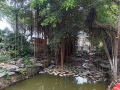 -珠海圆明新园
