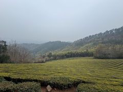 -敬亭山风景名胜区