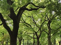 -HOT CRUSH趁热集合·现烤面包(环球港店)