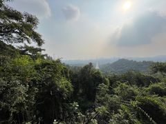 -火炉山森林公园