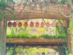 门面-西双版纳原始森林公园