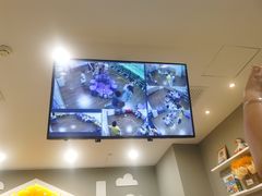 -昂立教育凯顿成长中心(嘉定南翔校区)