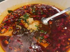 毛血旺-京香轩·中餐厅(上海中庚聚龙酒店)