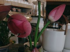-良木缘咖啡西餐(川大店)