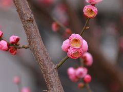 -东林广场(地铁站)