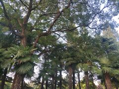 -清晏园