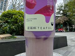 -星满杯TEAFUL(罗湖东门店)