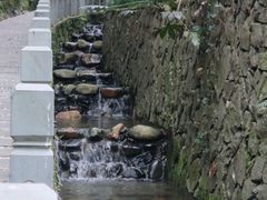 -十八棵（老龙井）御茶园(老龙井店)
