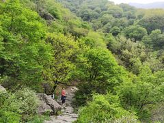 -阳台山自然风景区