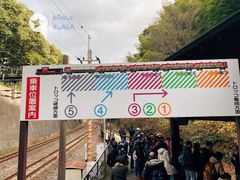 -岚山嵯峨野观光小火车