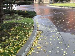 iphone_upload_pic-北海道厅旧本厅舍(旧本庁舎)