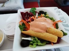 -海南海航航空信息系统公司