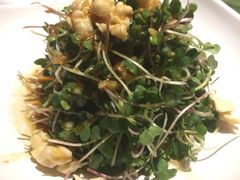 鲜核桃拌菜-申粤轩酒楼·三十年粤菜经典(丁香花园店)