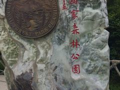 -王顺山国家森林公园