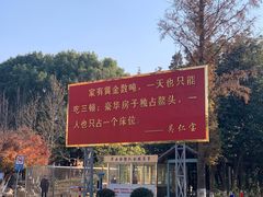 -华西村
