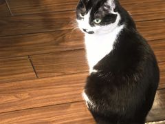 -路易时光(蕴川路店)