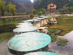 -靖西鹅泉风景区