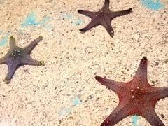 -重庆欢乐海底世界