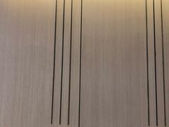 -FLARE STAR FITNESS(复地活力城店)