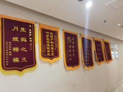 -上海星摇篮母婴护理中心(市妇幼店)