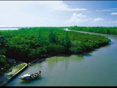 -东寨港红树林旅游区