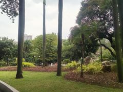 -晓港公园