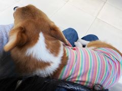 -怪兽屋·羊驼·猫咖·狗咖(俊华广场店)