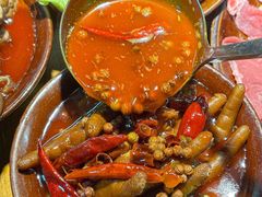 -阳阳老火锅(小南门店)