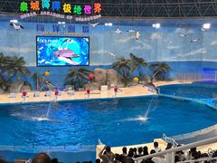 -泉城欧乐堡海洋极地世界