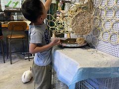 -吉丁鸟咖·异宠·寄养