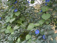 -好伦哥(温都水城店)