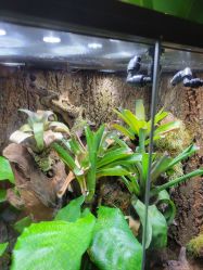 -酷嗒动物文化乐园(cutezoo西溪乐天城店)