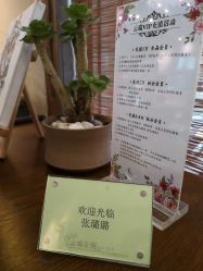 点击看大图 -YUEYAR PHOTO摄影