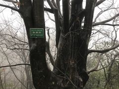 -山王坪喀斯特国家生态公园