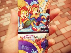 -苏州乐园森林水世界