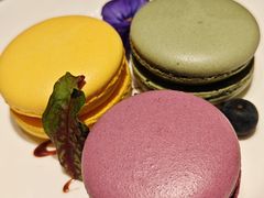 -Nord Grill&Bar Highland诺德西餐(深圳欢乐海岸店)